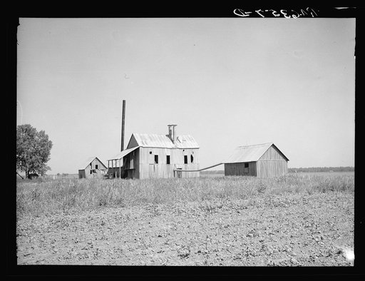 Cotton gin near Oil Trough, Arkansas