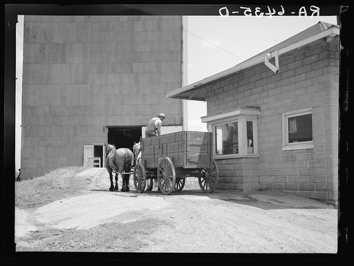 Weighing in at elevator before unloading corn. Near Rising, Illinois