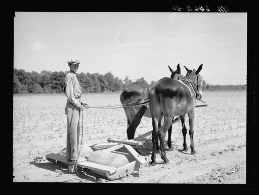 Roller constructed by Rehabilitation Administration client which is used to flatten soil between cotton and help in keeping moisture in the land. Near Batesville, Arkansas