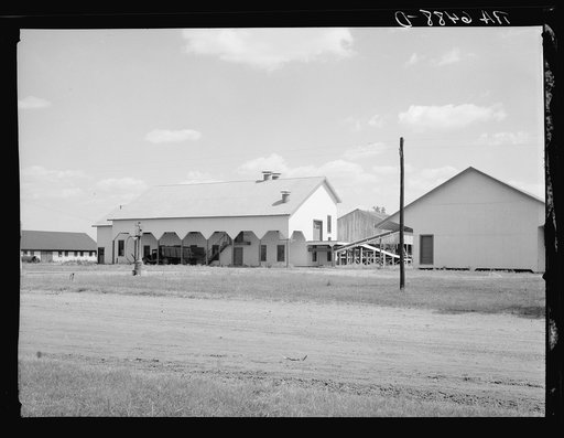 Barn at Sunflower plantation now under option by Resettlement Administration. Near Sunflower, Mississippi. This is one of the largest plantations in the region