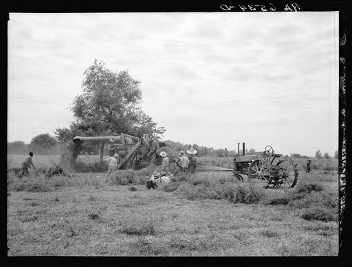Threshing white dutch clover at farm in St. Charles Parish, near New Orleans, Louisana