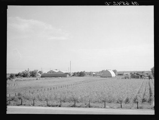 Coorperative sugarcane processing plant taken from Mississippi River levee costing approximately one hundred and seventeen thousand dollars. Growing 2819 cane in foreground. Capacity is one thousand tons per day. Serves territory in twenty mile radius. Works October through December. St. Charles Par