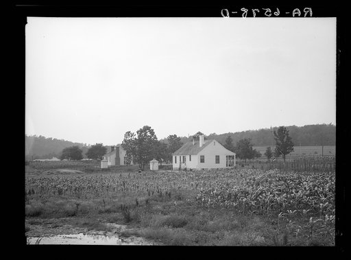 Backyards and houses of the Palmerdale Homesteads near Birmingham, Alabama