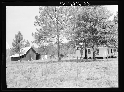 Grady Watson was moved from a shack in Irwinville to this home and farm unit in Irwinville Farms rural resettlement project. This view shows the Federal Emergency Relief Administration (FERA) house and the "Bryan" barn