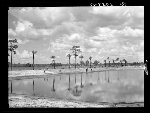 Preparing banks for grass planting in one of ten two-acre fish rearing ponds on Welaka wildlife and forest conservation project. Welaka, Florida