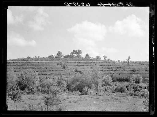 Hillside terracing near Anderson, South Carolina