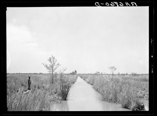Main flood and drainage ditch of Savannah River migratory waterfowl refuge, biological survey project near Savannah, Georgia. This ditch served when area produced rice until 1895, when rice prices fell and tropical storm damaged field and walls