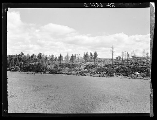 Cut-over land. Vermont