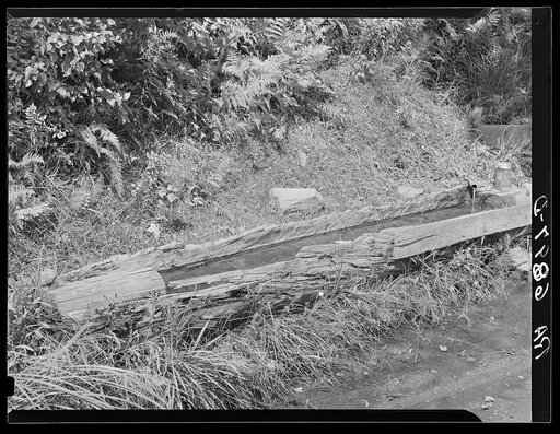Old hog watering trough along side the road near Lowell, Vermont.