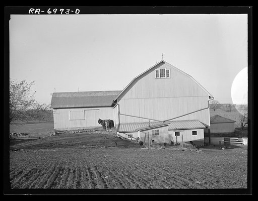 Barn on George Miller's farm at Northhampton Farms site. Shoenersville, Pennsylvania