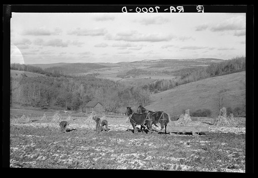 Farm and typical countryside, Brooktondale, New York. Purchased by Resettlement Administration for Finger Lakes project. Tompkins County