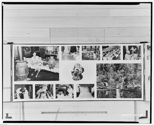PHS (United States Public Health Service) exhibit