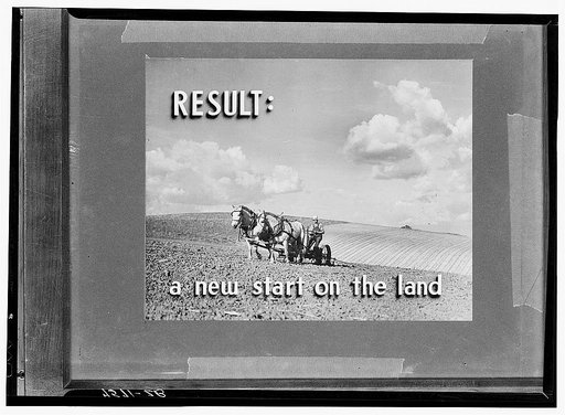 Section of Farm Security Administration strip film