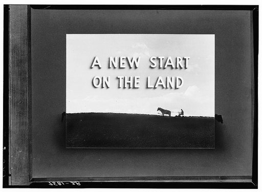 Section of Farm Security Administration strip film
