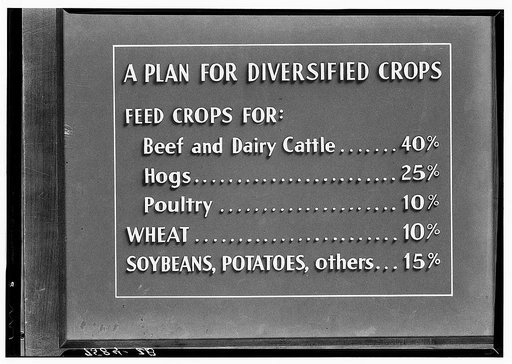 Section of Farm Security Administration strip film