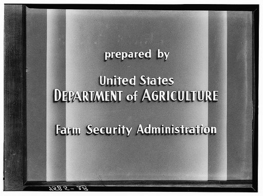 Section of Farm Security Administration strip film