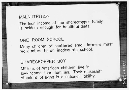Captions for exhibits