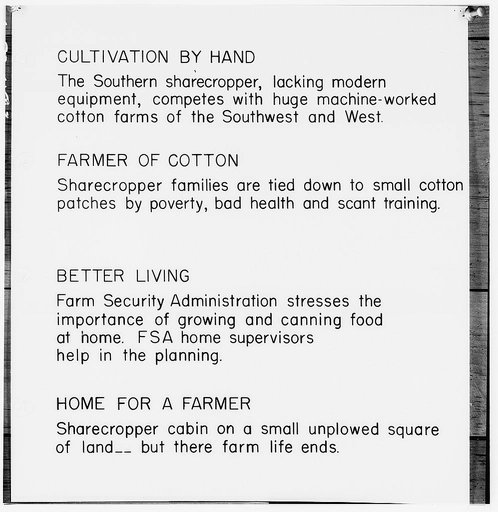Captions for exhibits