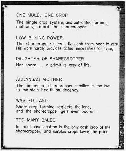 Captions for exhibits