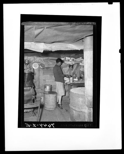 Mrs. Hunter in "kitchen end" of log shack. Southeast Missouri