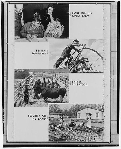 Part of panel for Region VII (Lynn)
