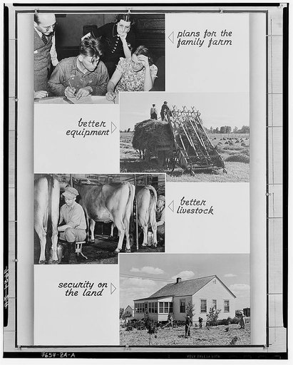 Part of panel for Region VII (Lynn)