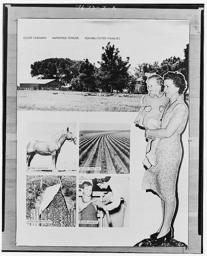 Live-at-home farming. Wilkinson's exhibit