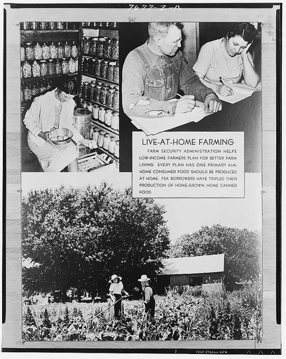 Live-at-home farming. Wilkinson's exhibit