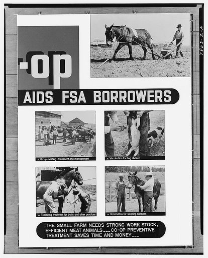 Farm Security Administration exhibit. (Co-op Veterinary Service Aids FSA Borrowers). Second part