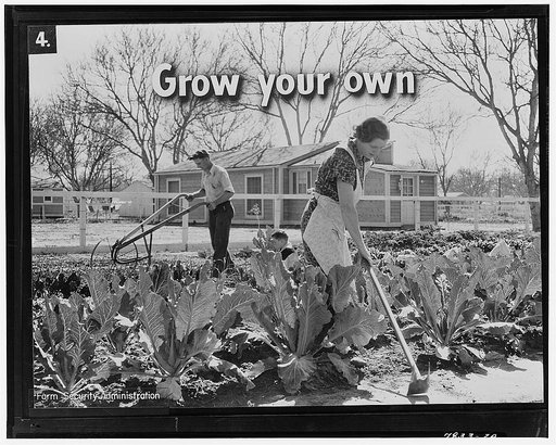 Homegrown food is homegrown wealth. The foresighted farmer makes a garden plan showing what to plant, when to plant, and when to make second plantings. The plan shows how to cultivate and keep the garden free of weeds, and what poison spray to use to kill the insects that might eat up the vegetables
