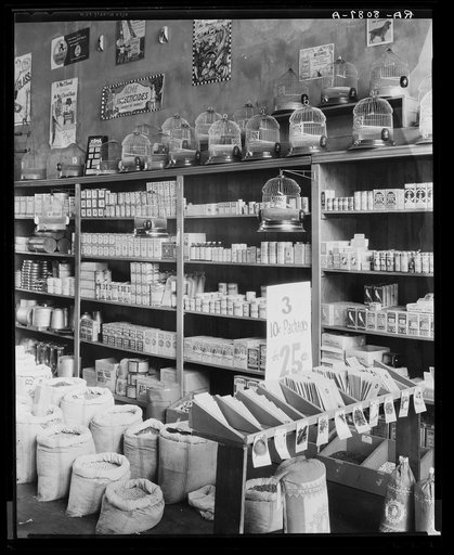 Seed store interior. Vicksburg, Mississippi