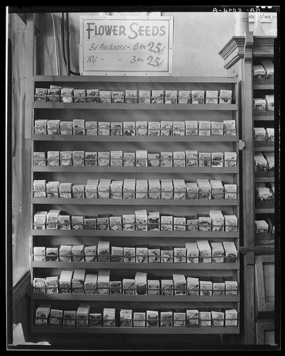 Vicksburg, Mississippi. Seed store interior