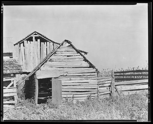 Barns on Frank Tengle's farm. Hale County, Alabama