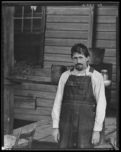 Frank Tengle, cotton sharecropper. Hale County, Alabama