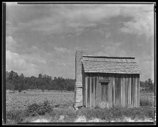 Cotton cabin. Hale County, Alabama