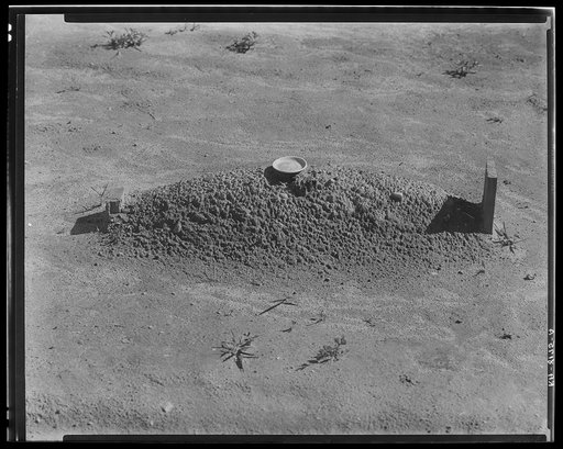 Sharecropper's grave. Hale County, Alabama
