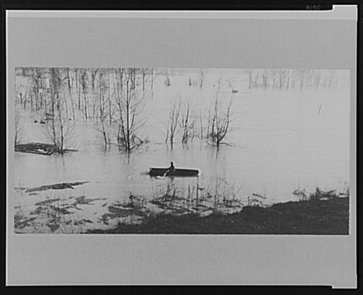 View taken from train between Memphis, Tennessee, and Forrest City, Arkansas, during the flood