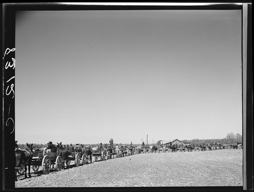 Lines of farmers waiting for cotton seed which they are buying cooperatively. Roanoke Farms, North Carolina