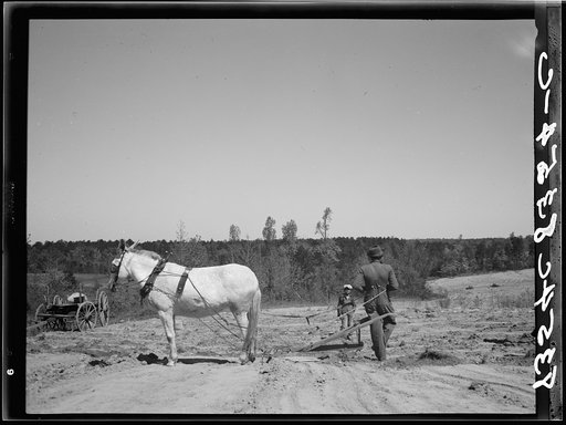 Plowing. Guilford County, North Carolina