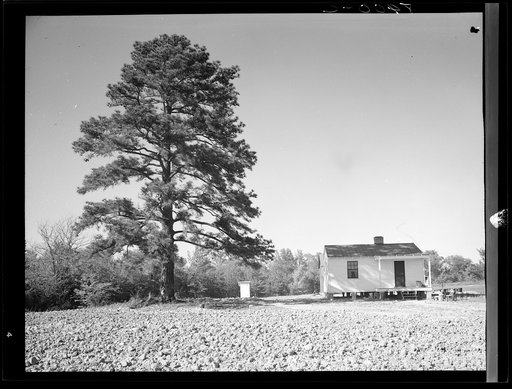 Roanoke Farms, North Carolina