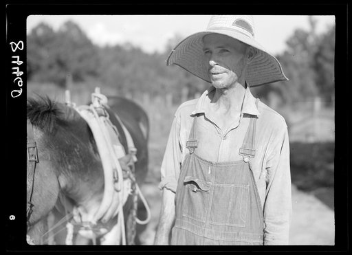 Farmer at Irwinville Farms, Georgia