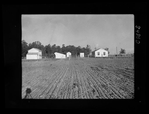 Farm unit at Irwinville Farms, Georgia