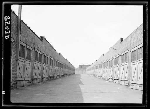 Garages in alley behind row houses. Baltimore, Maryland