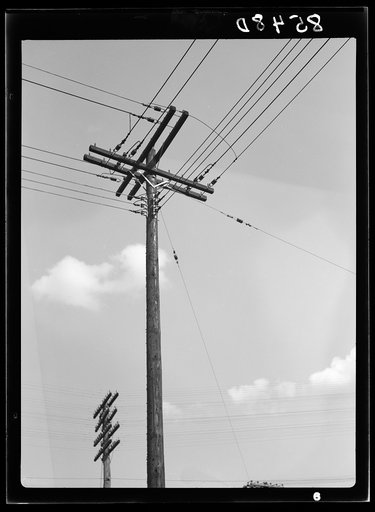 Telephone wires. Rosslyn, Virginia