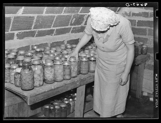 Lancaster County, Nebraska. Canned goods in the storage cellar of a Farm Security Administration rehabilitation client