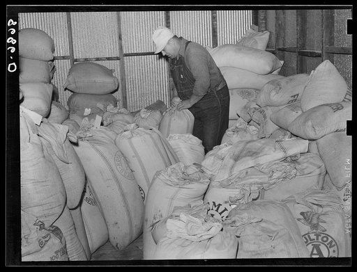 Interior of farmer's union co-op elevator. Centralia, Kansas