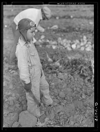Mexican boy who works in the sugar beet fields. Lincoln County, Nebraska