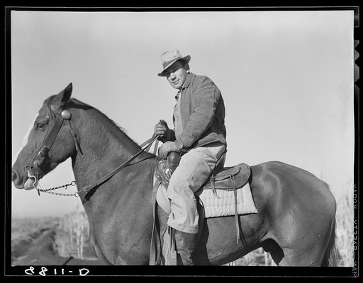 Cowboy. Dawson County, Nebraska