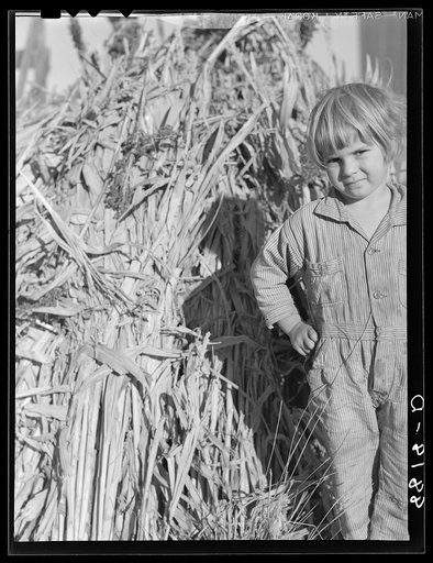 Farmer's daughter. Republic County, Kansas