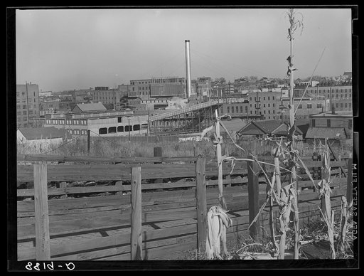 Swift packing plant. South Omaha, Nebraska